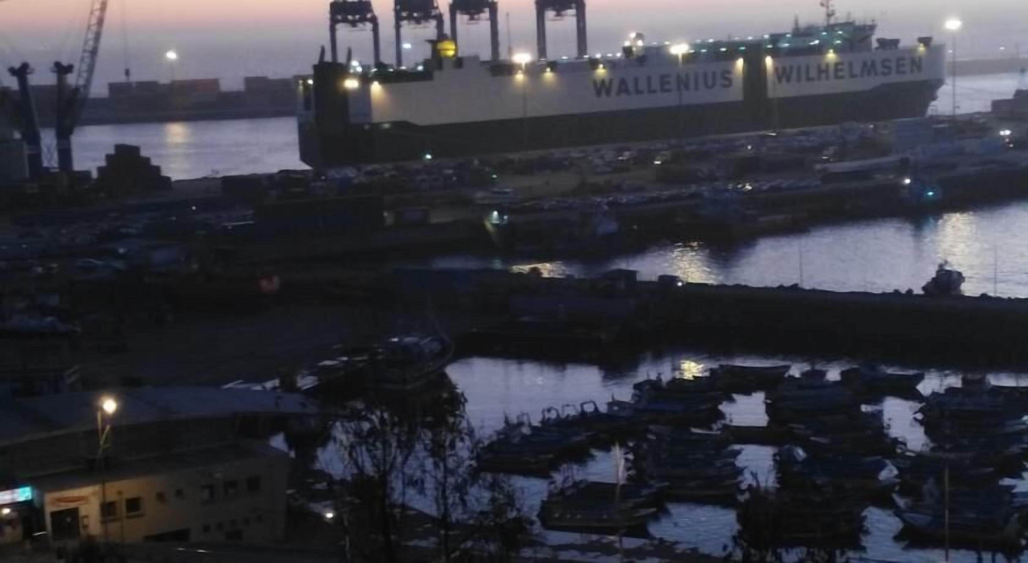 Un'imponente nave cargo chiamata 'WALLENIUS' in un porto con diverse imbarcazioni ormeggiate e gru sullo sfondo.