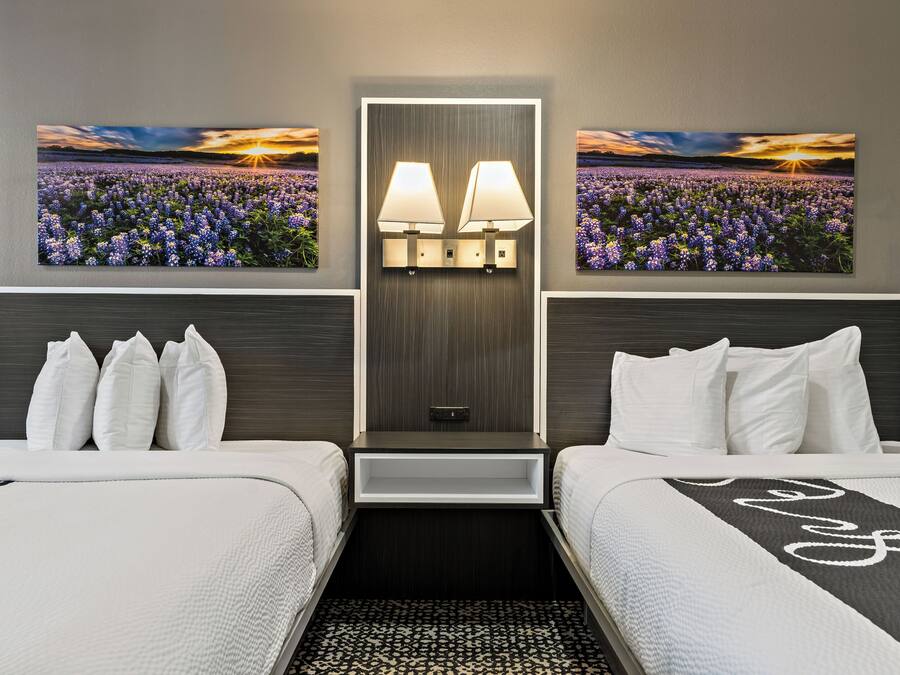 Deluxe-Suite, 2 Queen-Betten | Allergikerbettwaren, Daunenbettdecken, Schreibtisch