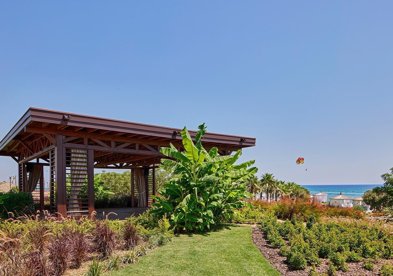 A covered pavilion with a large banana tree in the foreground, a clear sky, and a view of the sea.