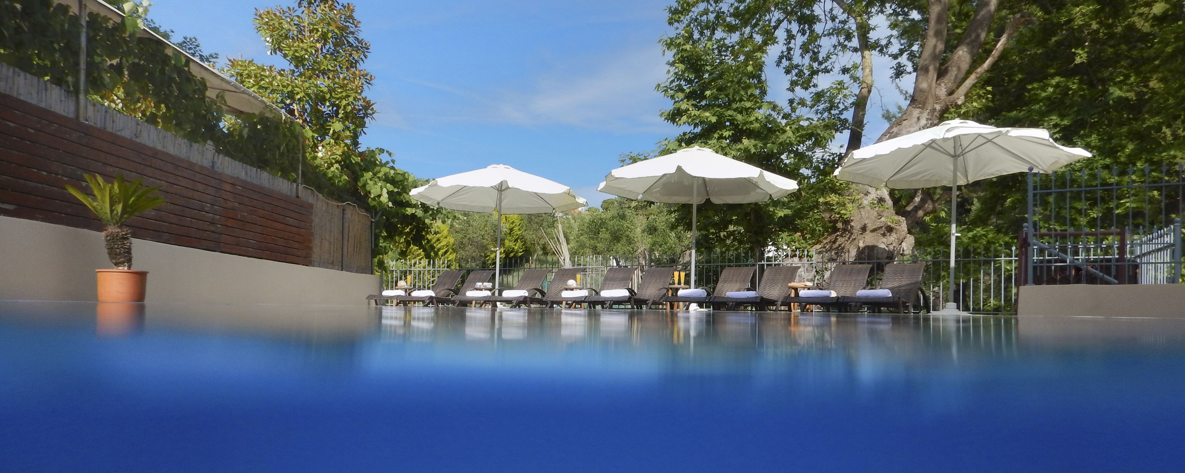A poolside area with lounge chairs and umbrellas, surrounded by trees and a wooden fence.