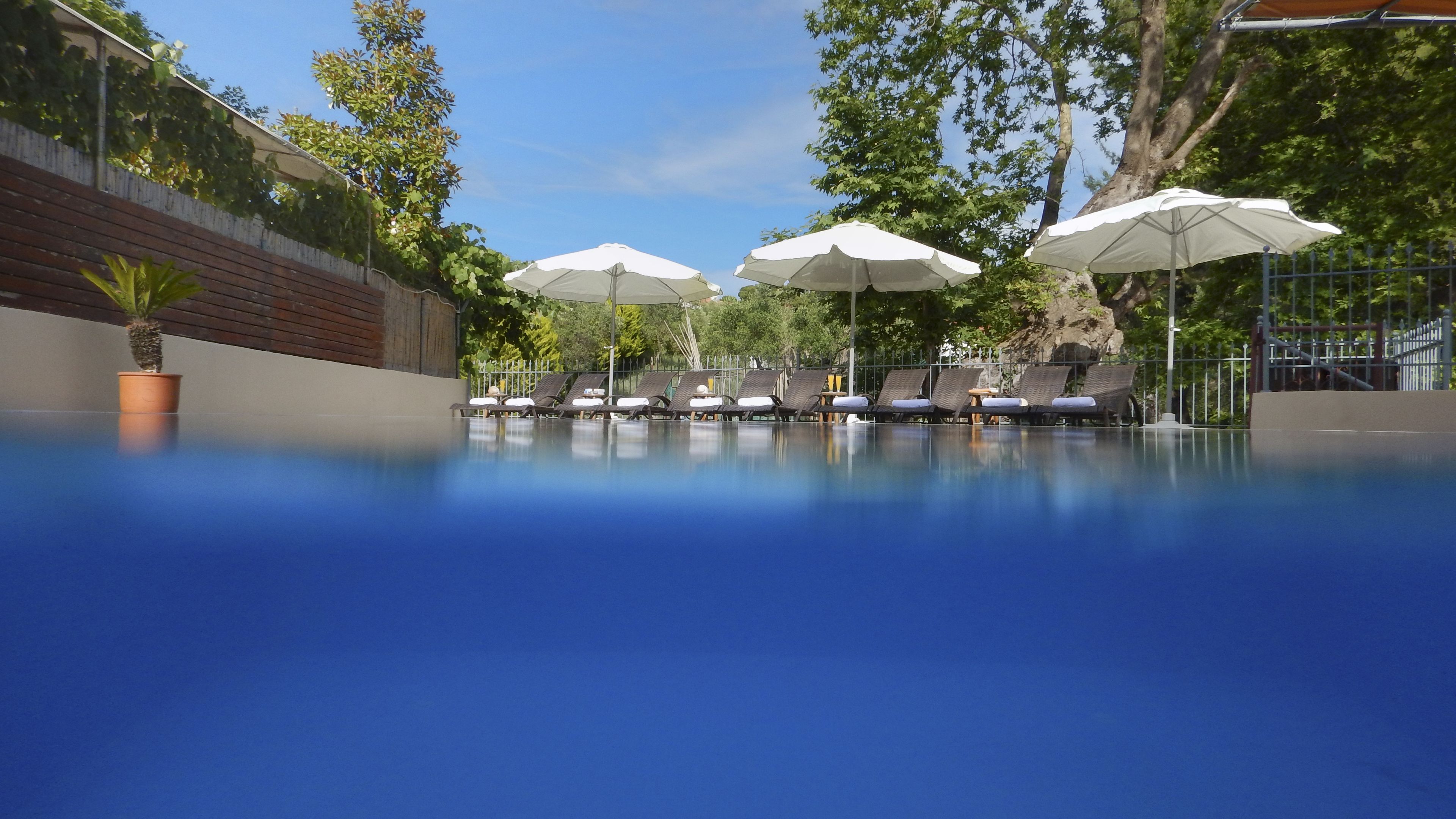 A swimming pool with lounge chairs and umbrellas, surrounded by trees and a wooden fence.