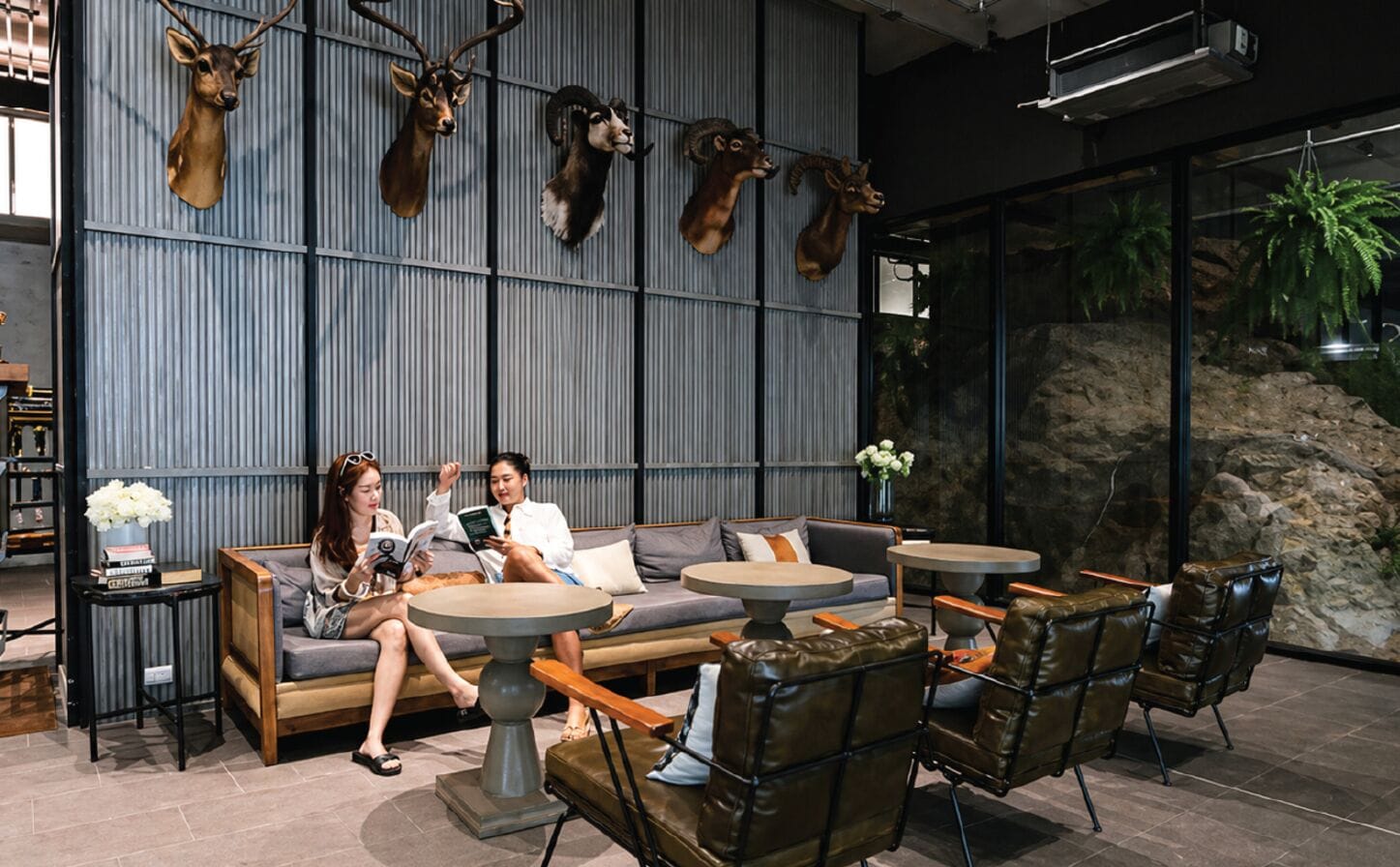 A modern interior with a sofa, chairs, and a wall displaying mounted animal heads.