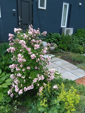 Property grounds - Guesthouse Annabel (Hakodate)