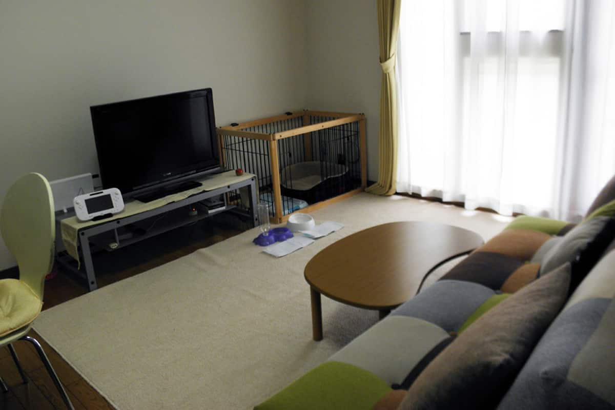 Rollaway beds, free WiFi, bed sheets