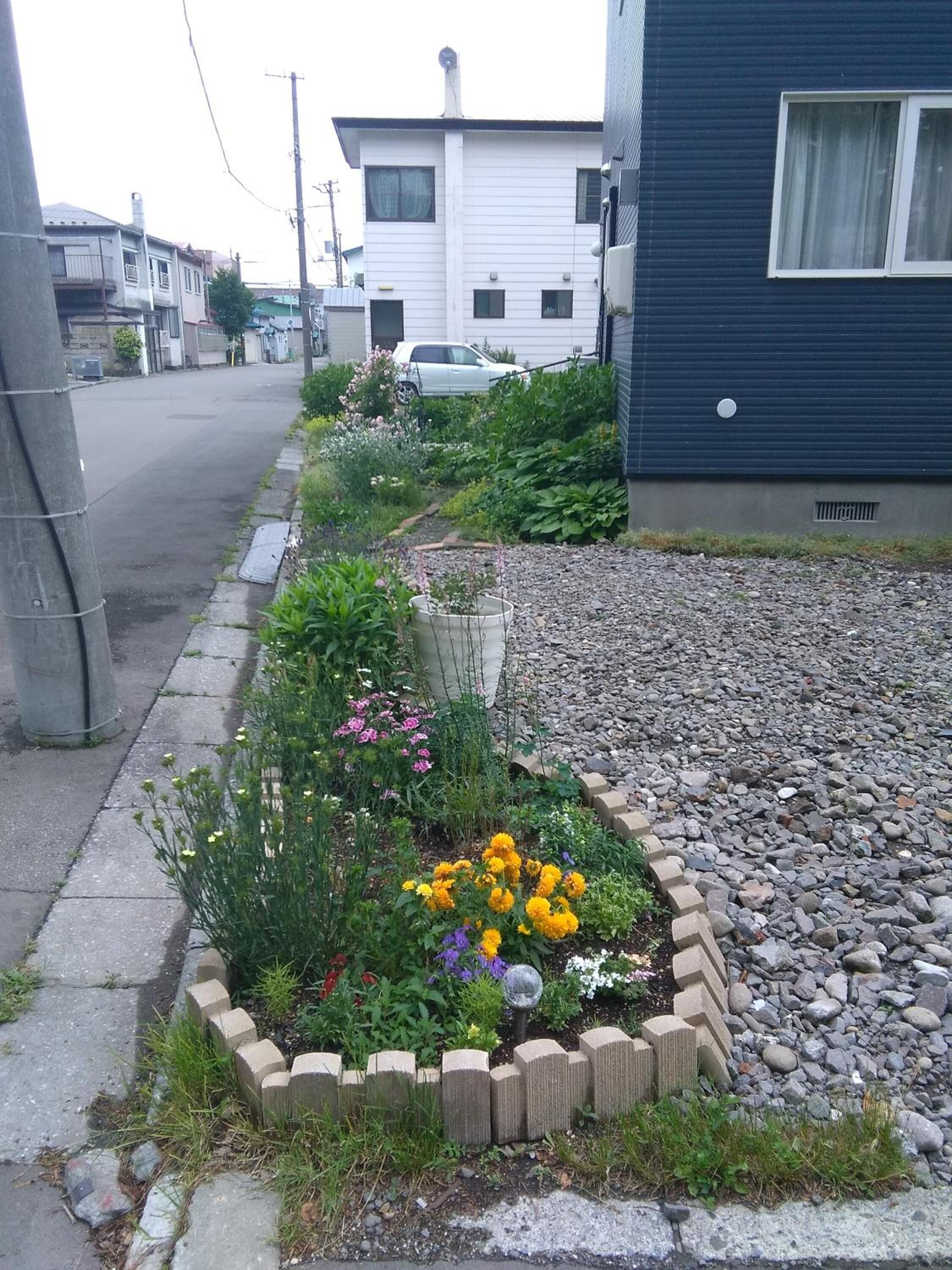 Un jardín residencial con diversas flores y plantas, un camino de grava y una valla de madera.