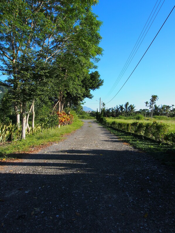 A rural road flanked by trees and vegetation, leading towards a distant mountain. - Viasea B&B (Xiulin)