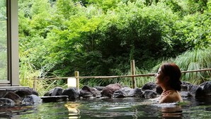 A person in a hot spring surrounded by rocks and greenery. - Sake Hotel Tamakiya (Tokamachi)