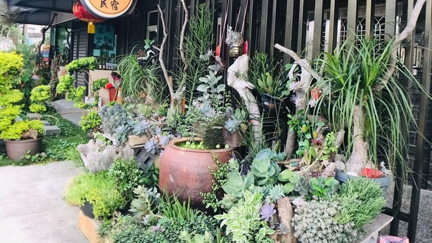 A traditional building with a covered entrance, surrounded by various potted plants and a small pool area. - tai-chia Bed and Breakfast (Jincheng)