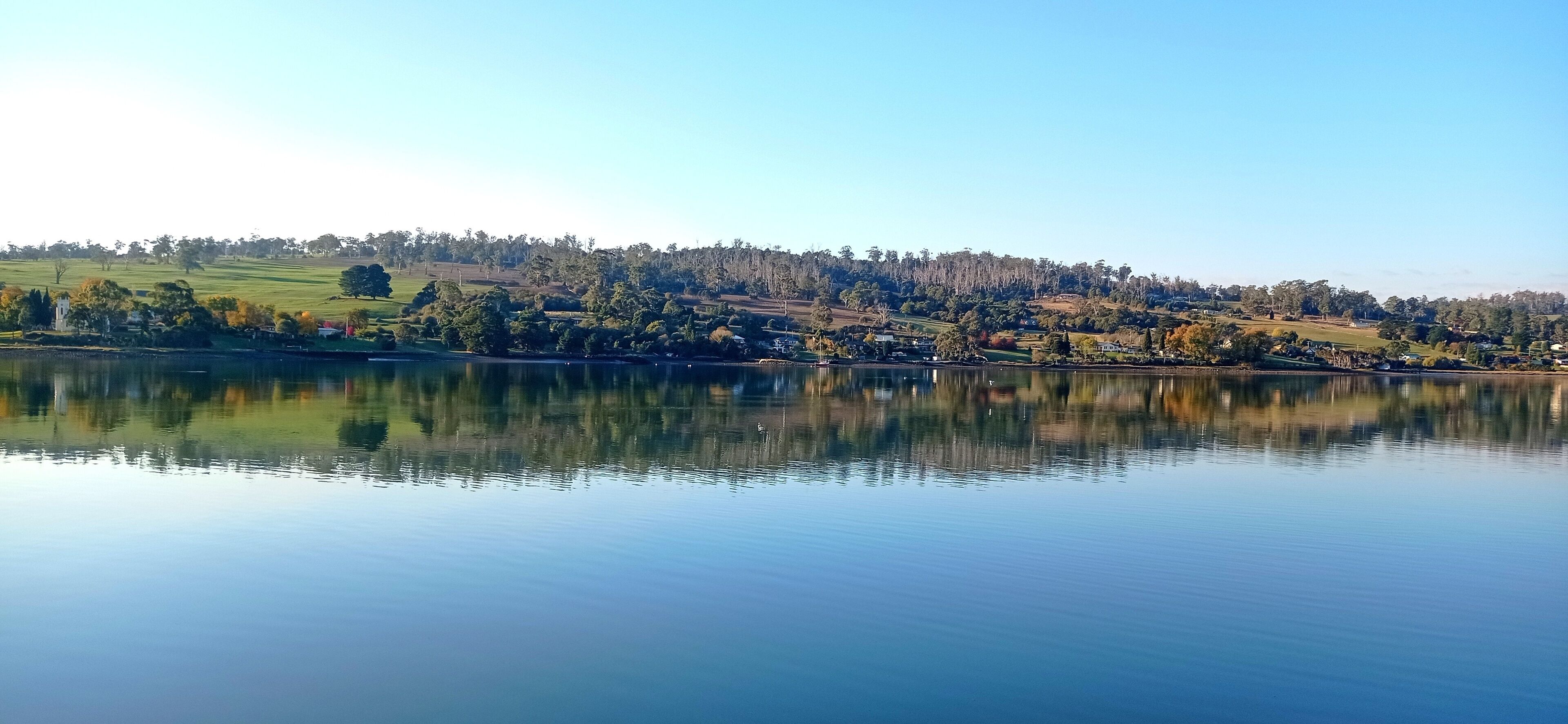 Un lago tranquilo que refleja un paisaje con árboles y edificios.