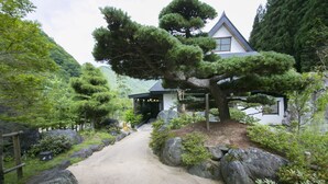 A traditional Japanese house with a large tree in the garden, surrounded by rocks and plants.