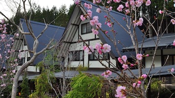 A traditional Japanese house with a steeply pitched roof, surrounded by blooming cherry trees.