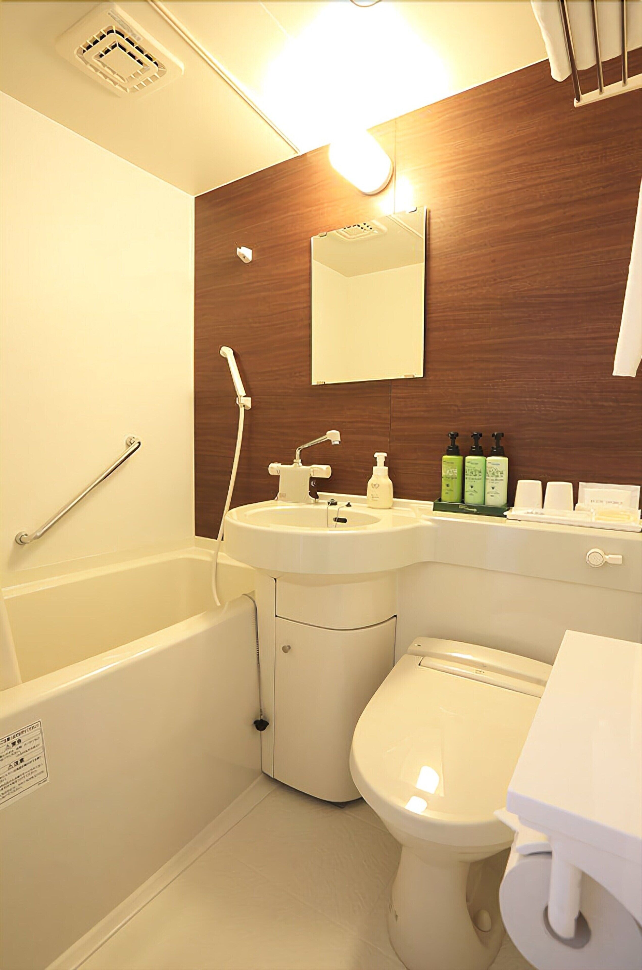 combined shower/bathtub, hair dryer, slippers, bidet