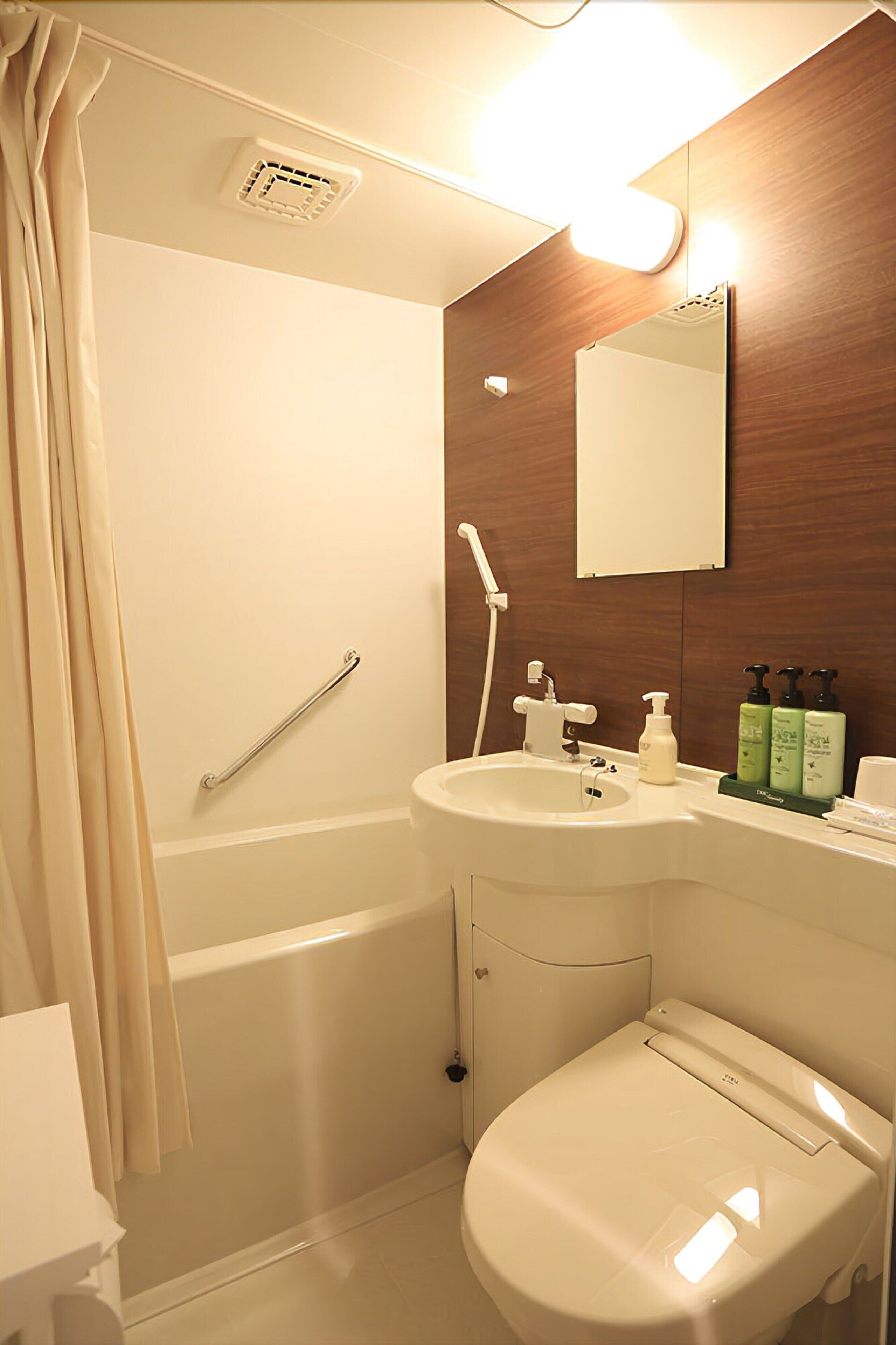 combined shower/bathtub, hair dryer, slippers, bidet