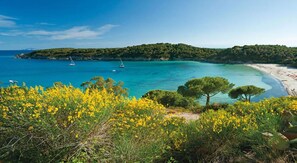 En privat strand, liggestole, parasoller