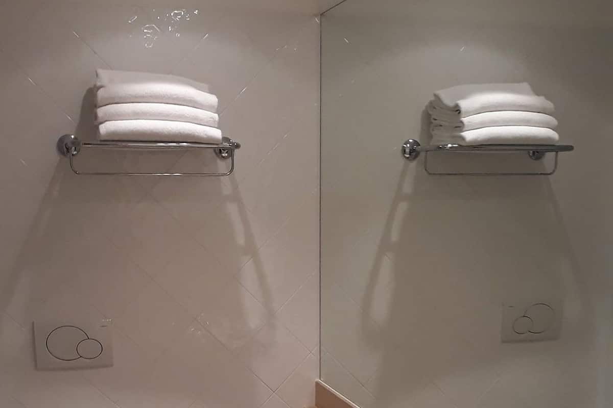 free toiletries, hair dryer, bidet, towels