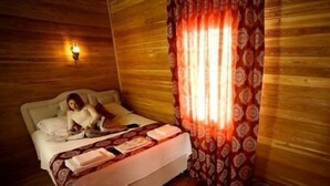 Minibar, in-room safe, desk, iron/ironing board (on request) - Gokoz Natural Park (Keles)
