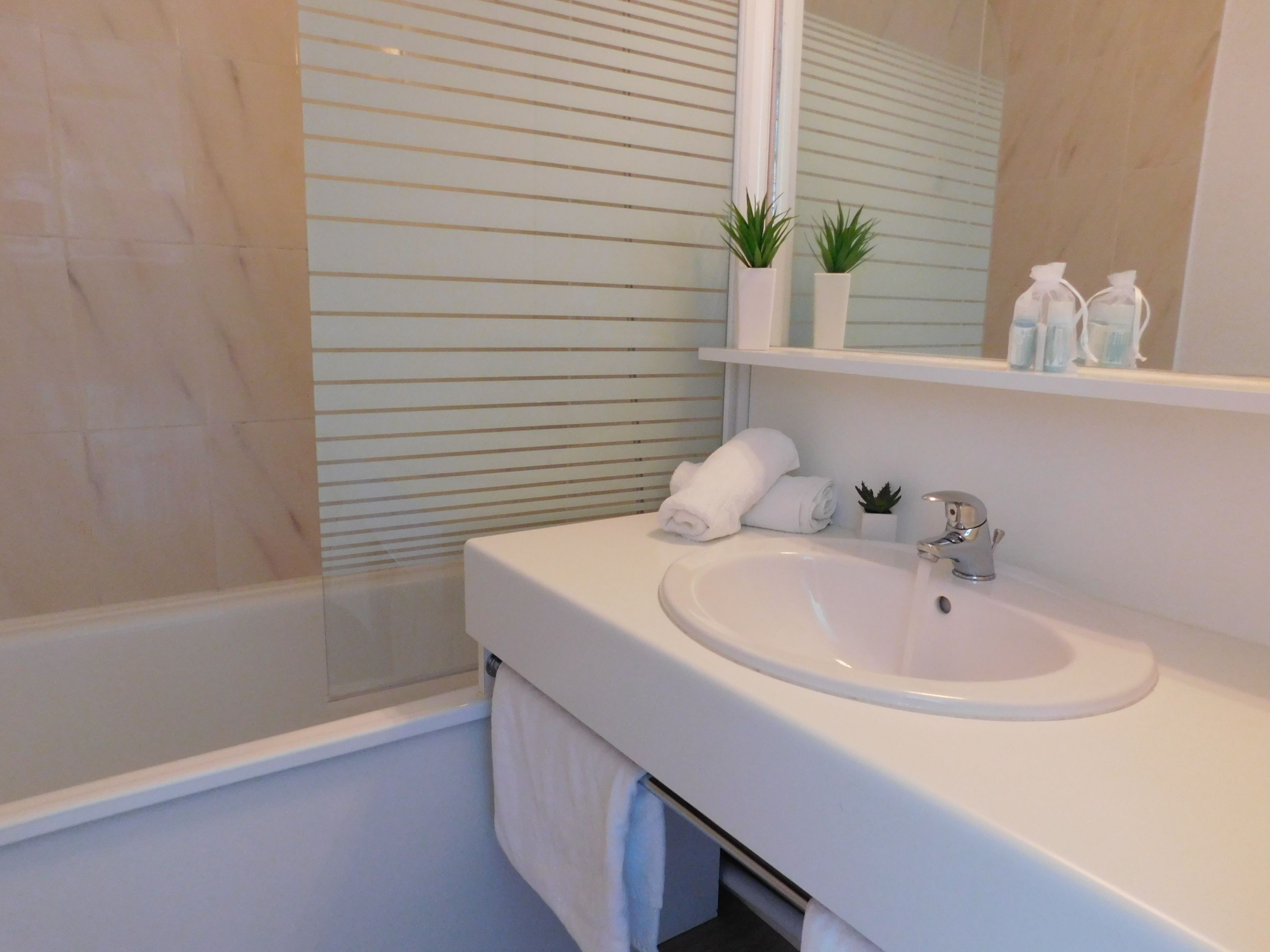 A bathroom with a white sink, a mirror, a towel, and a small plant on the counter.