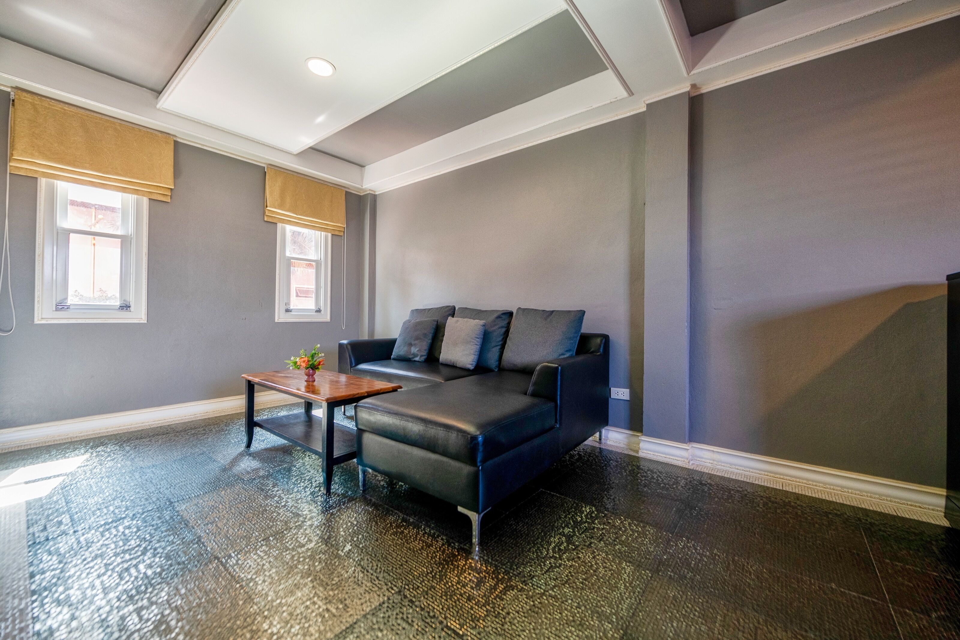 A modern living room with a dark leather sofa, a wooden coffee table, and a small plant.