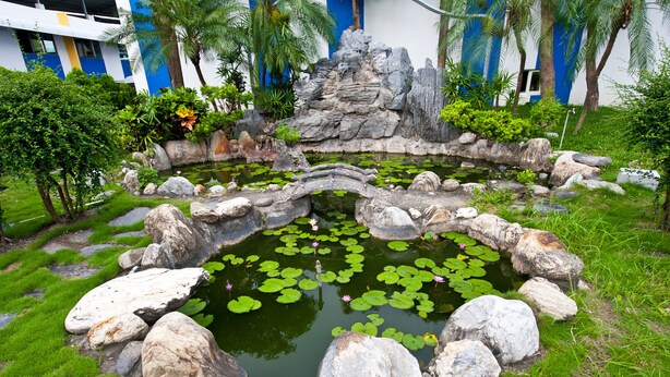 A pond with lily pads and a wooden bridge, surrounded by rocks and greenery. - Yudali HR Motel (Donggang)