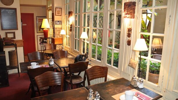 Un coin repas chaleureux avec des tables et des chaises en bois, de grandes fenêtres avec des rideaux, et un chat assis sur l’une des tables.