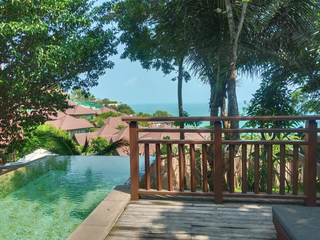 A wooden deck with a pool, surrounded by lush greenery and overlooking a coastal area with buildings.