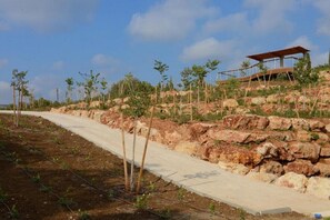 Aerial view - Keshet Eilon Villas and Suites (Mateh Asher)