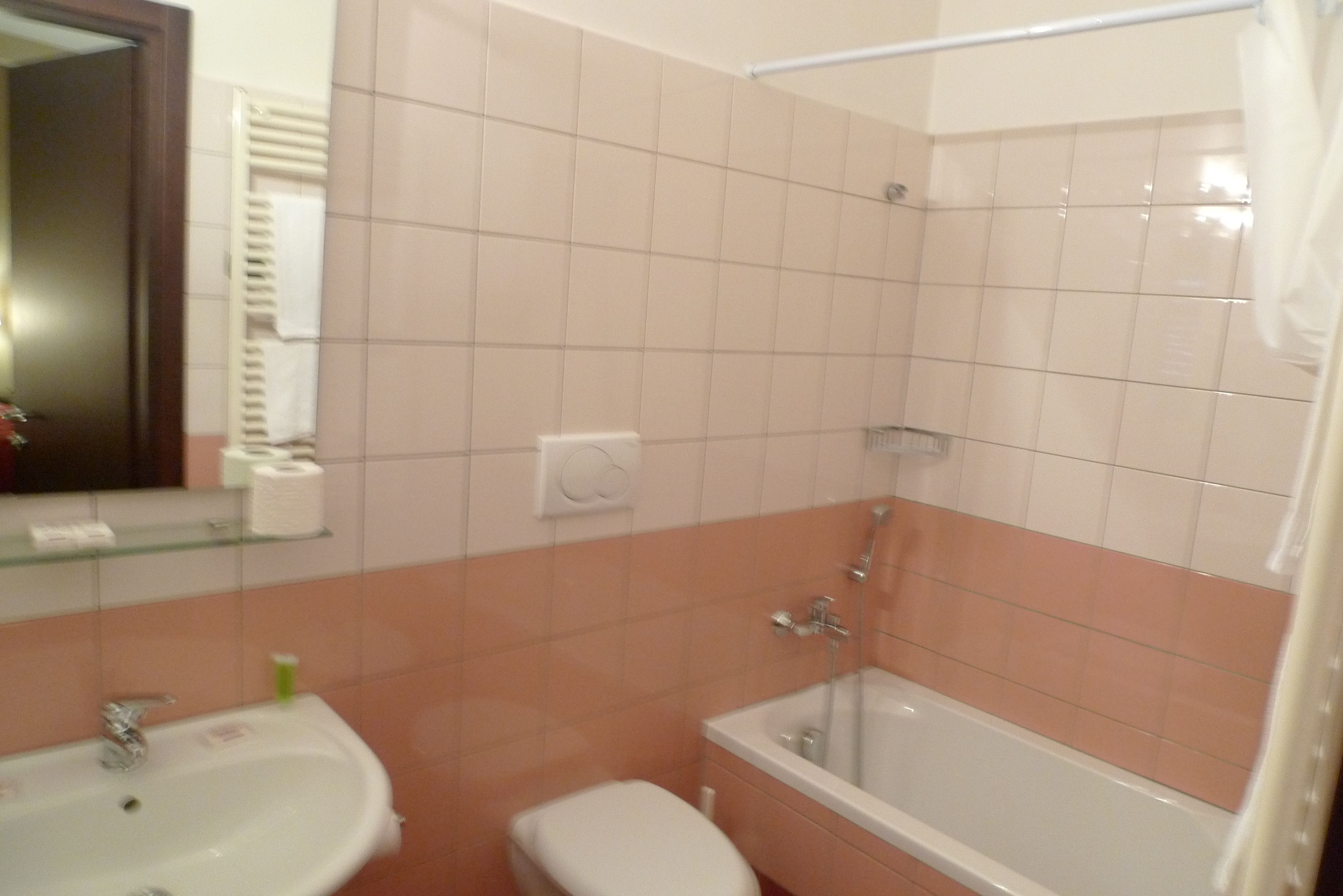 double or twin room | bathroom | free toiletries, hair dryer, bidet, towels