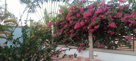 Double Room (Bungalow ) | Garden view