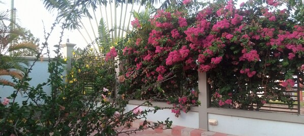 Chambre Double (Bungalow ) | Vue sur le jardin