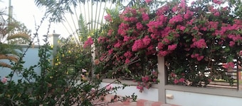 Samanene Beach Hotel