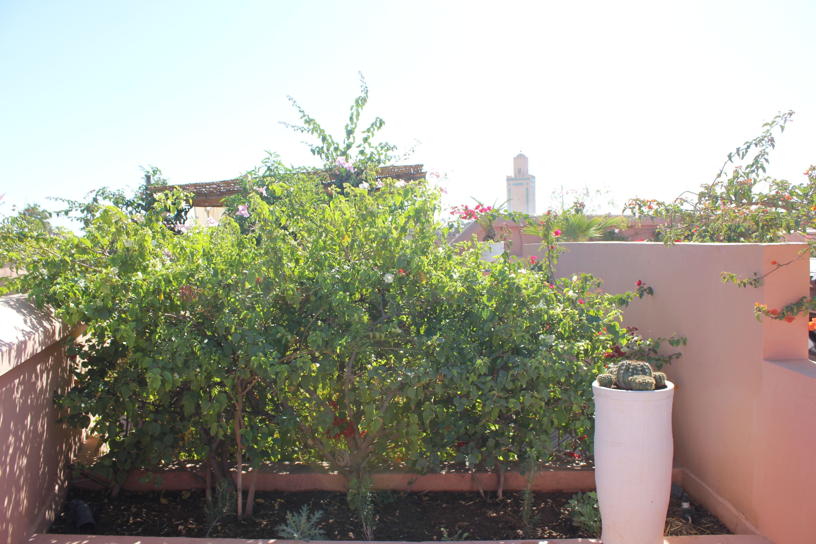 Foto - Riad du Ciel Marrakech