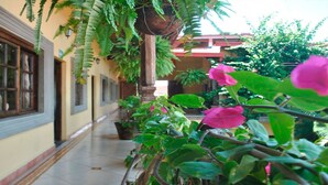 A corridor with potted plants and hanging ferns, leading to a building with a tiled floor and a red roof. - Hotel Real Granada (Granada)
