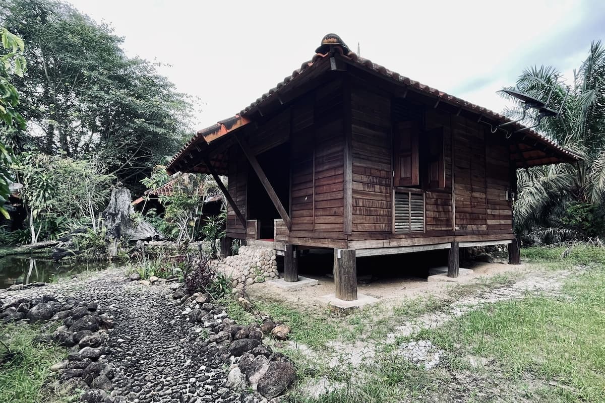 A wooden cabin with a thatched roof, surrounded by lush greenery and a small pond.