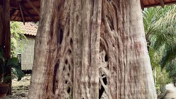 A large tree trunk with multiple hollows and carvings, situated under a wooden structure with a tiled roof.