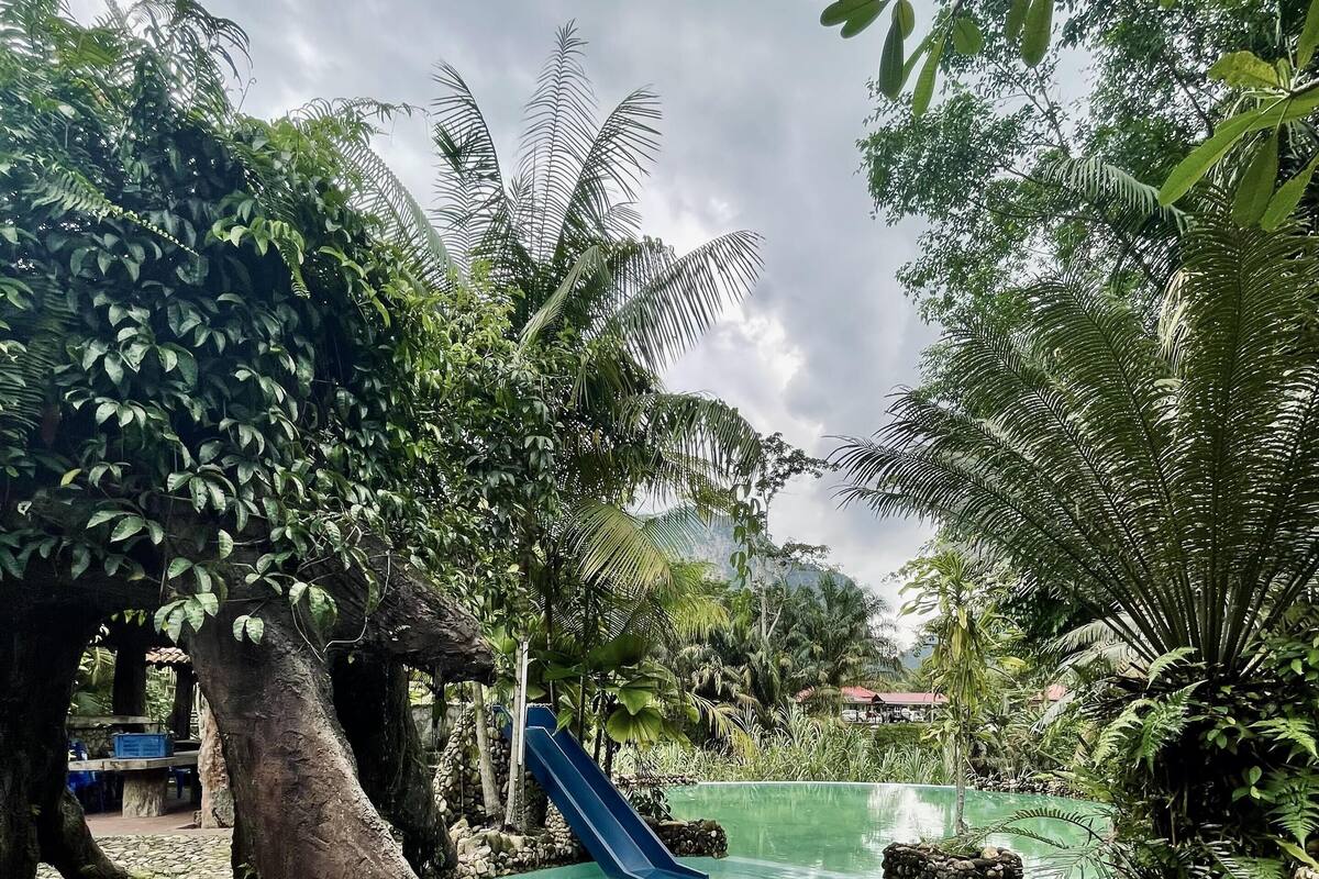 A pool area with a blue slide, surrounded by rocks and lush greenery.