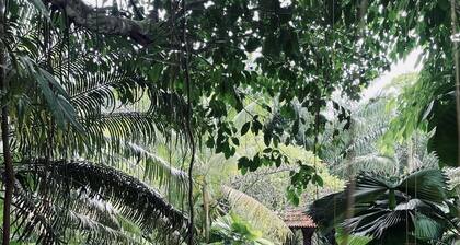 Sahom Valley Resort - Agro & Eco