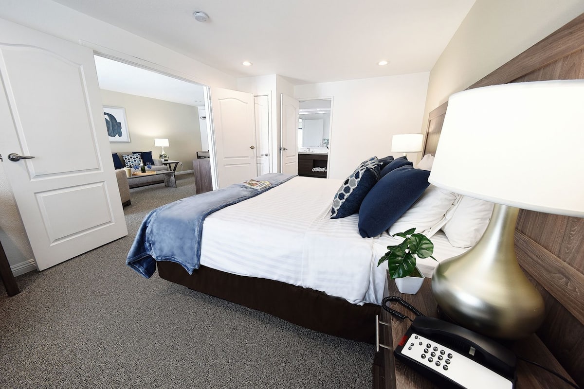 Una habitación de hotel con cama, lámpara de noche, teléfono junto a la cama y una planta.