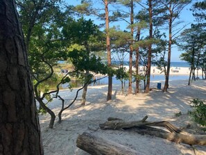 A beach with trees and a sandy area.