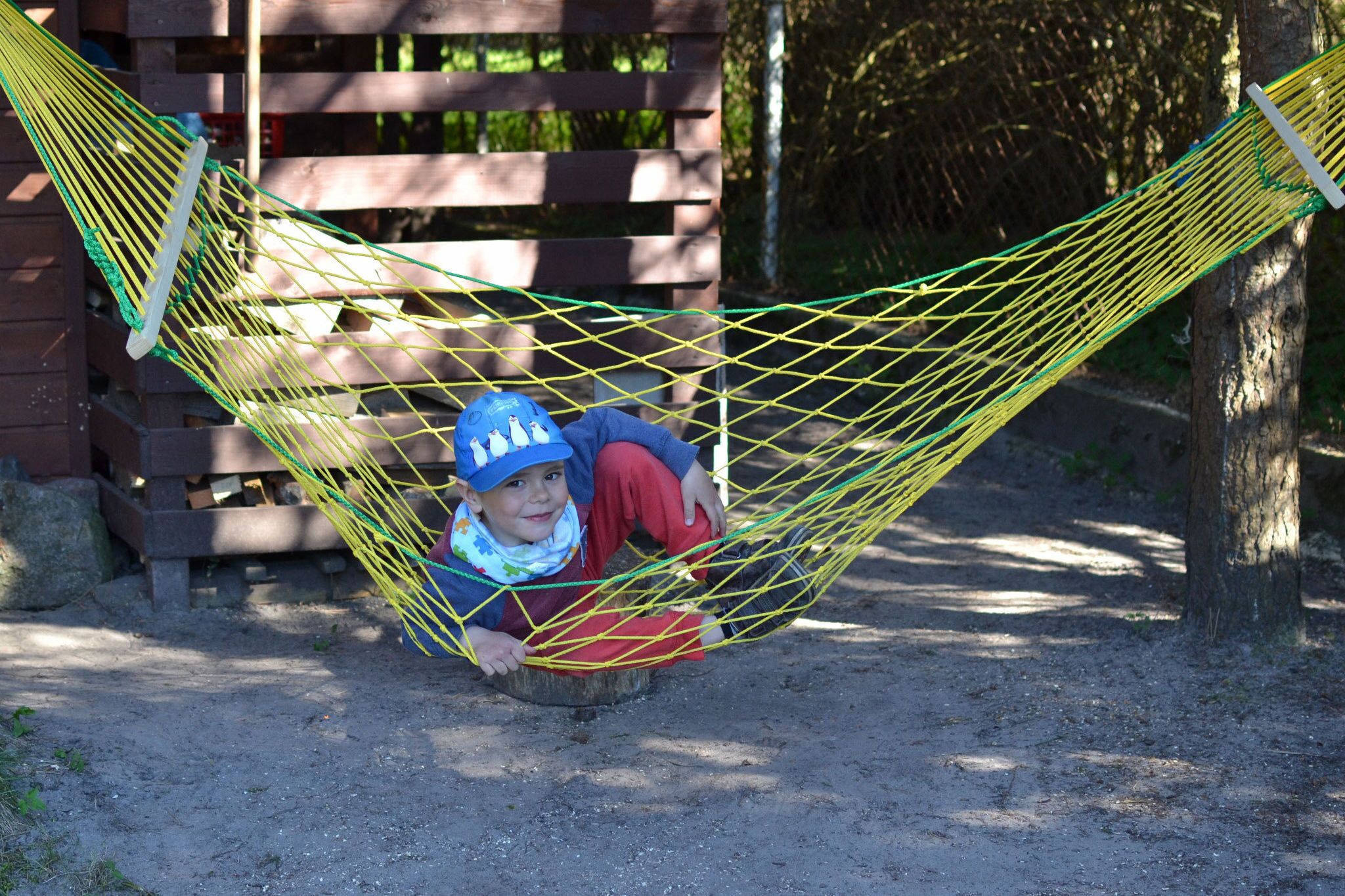 A child in a hammock between two trees.