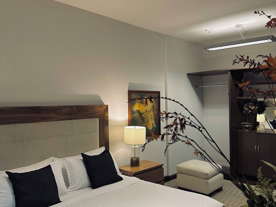 Exclusive Apartment, 1 Katil Raja (King), Kitchenette, City View | Peralatan tempat tidur premium, gebar bulu kapas, peti besi dalam bilik