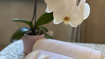 Ducha, cabezal de ducha tipo lluvia, secador de pelo y bidé