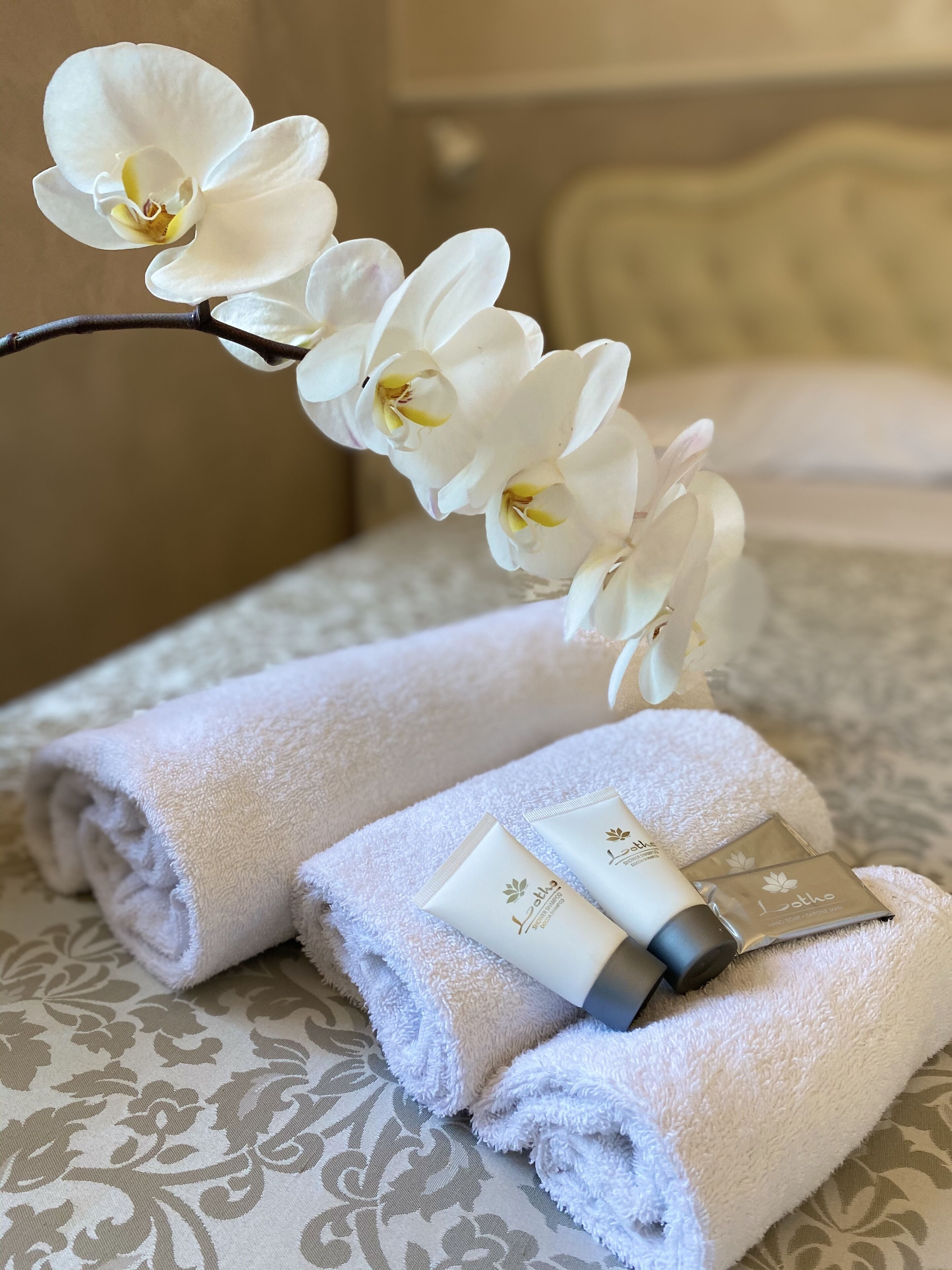 Photo - Domus Valadier B&B Guesthouse