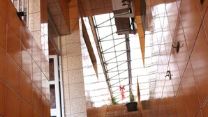 Una escalera con un muro de azulejos y una planta en maceta en la parte superior.