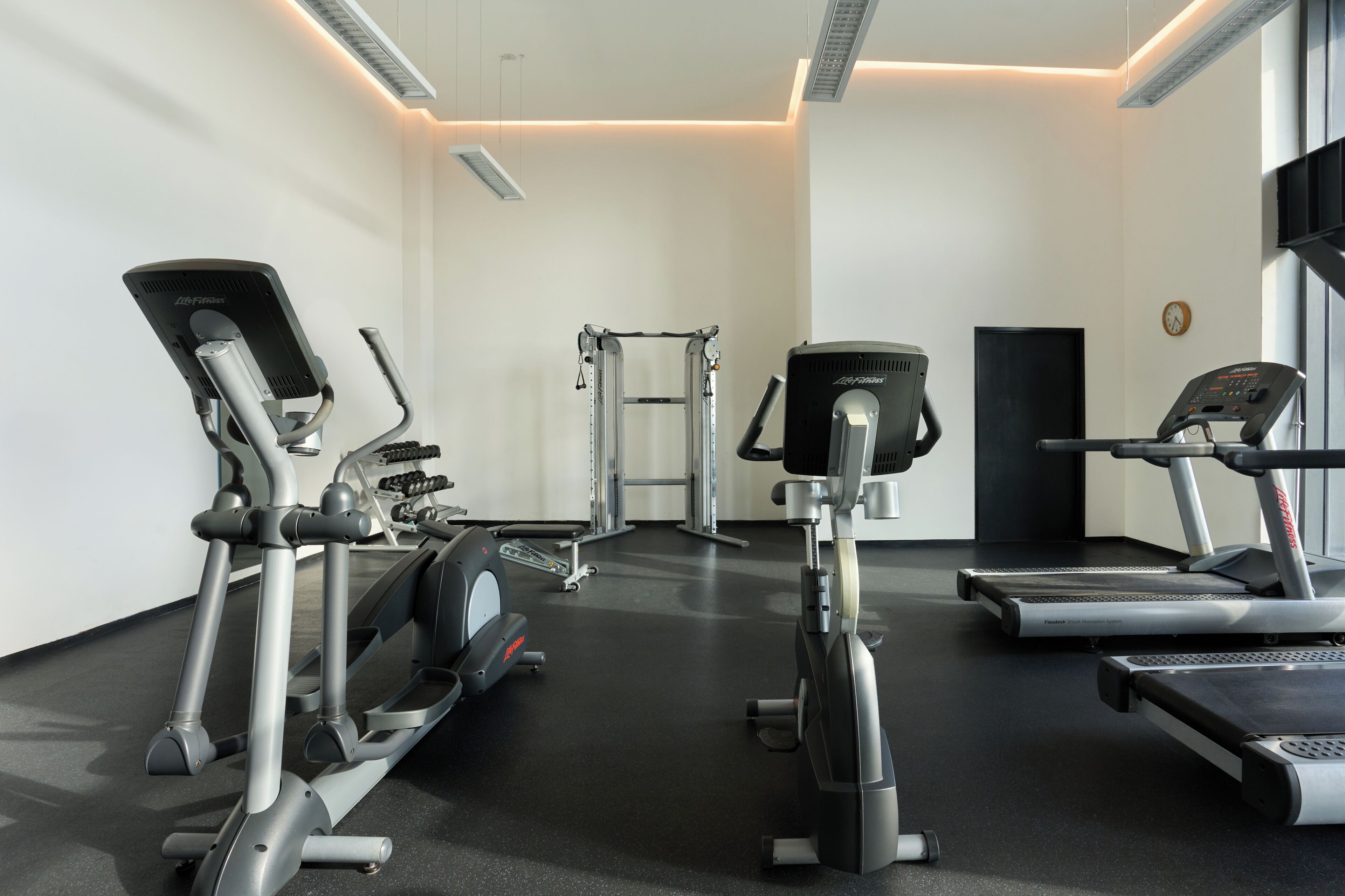 Gimnasio