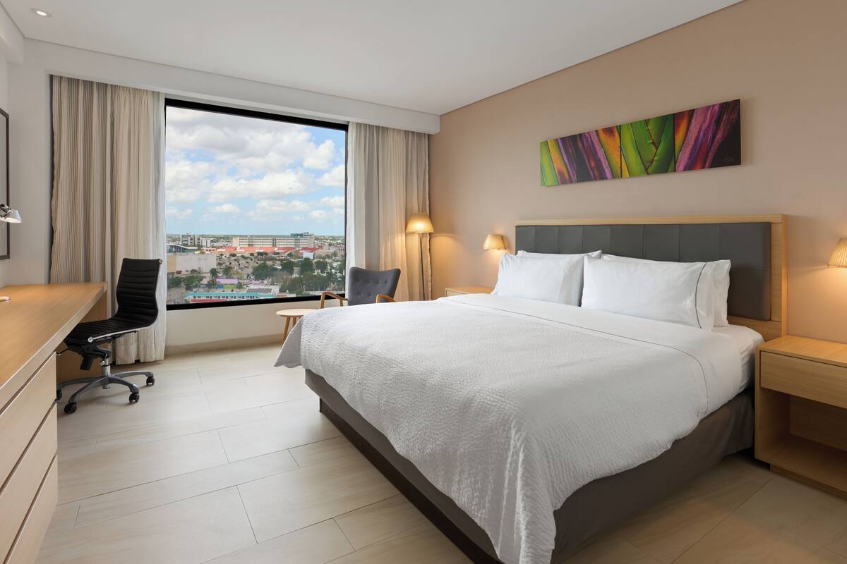 Habitación de hotel con una cama grande, un escritorio, una silla, una mesita de noche y vistas a la ciudad.
