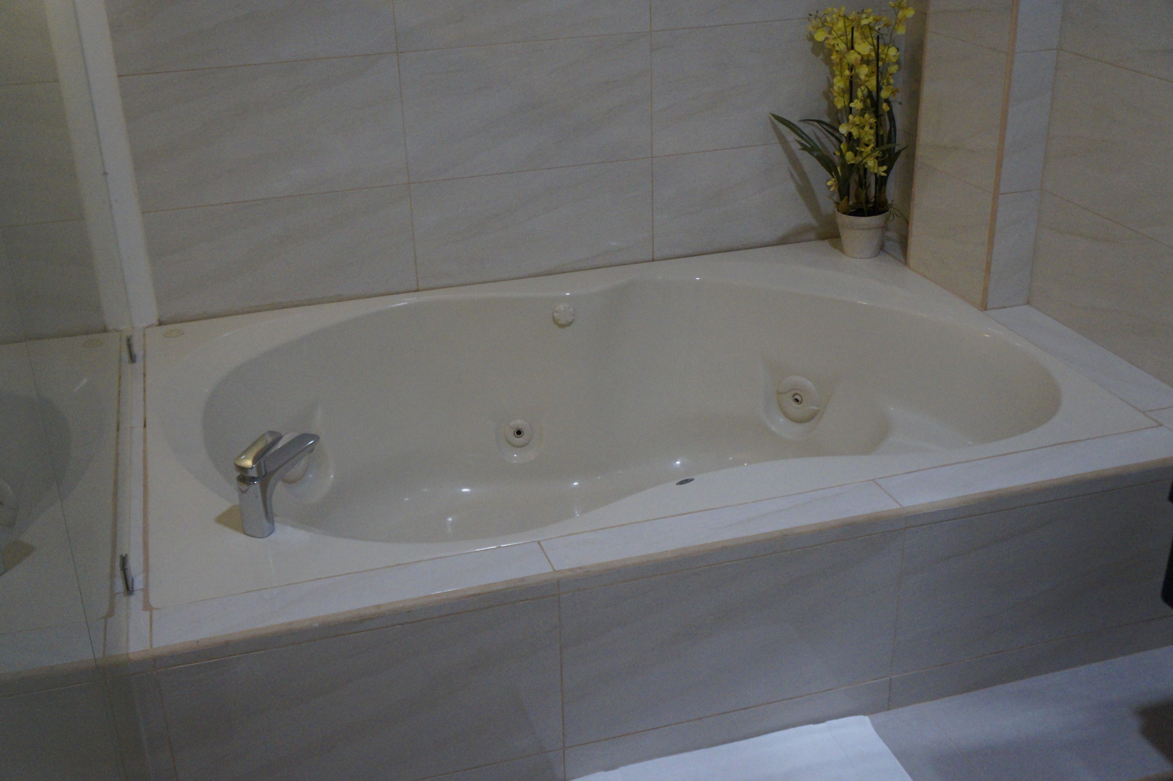 A large, empty bathtub with a single faucet and a small potted plant beside it.