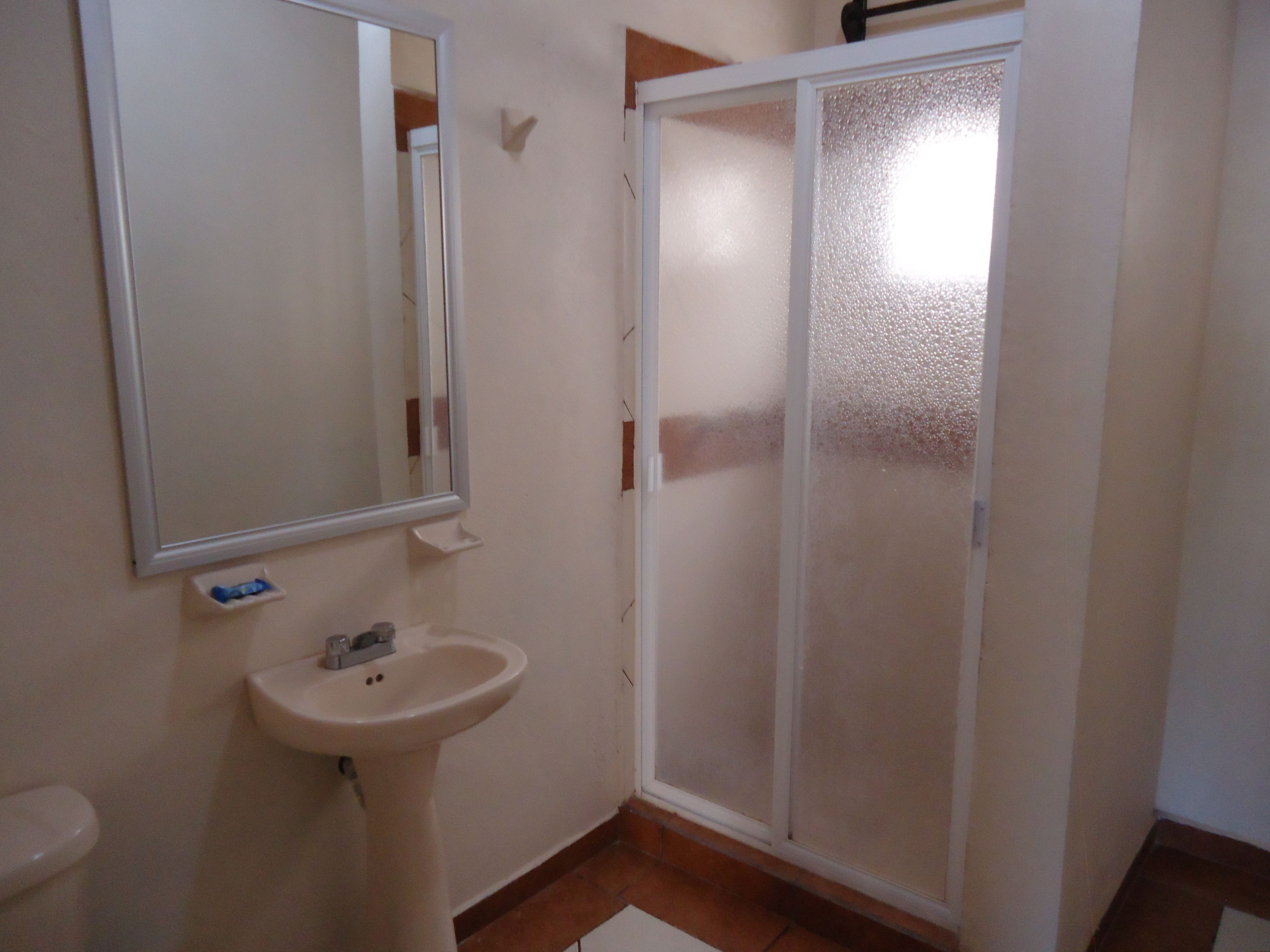 deluxe double room, 2 double beds, accessible, allergy friendly | bathroom | shower, free toiletries, towels