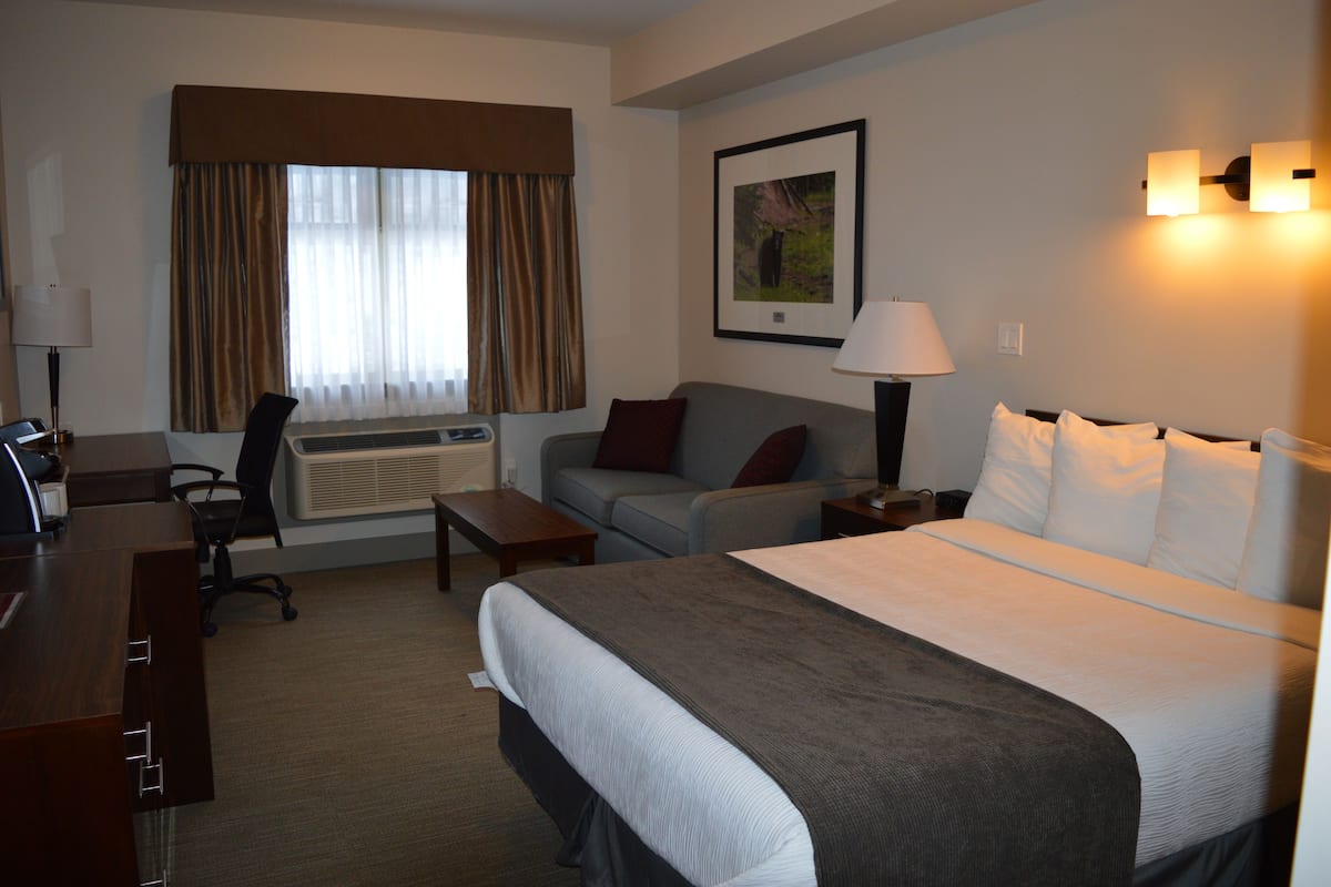 A hotel room with a bed, a desk, a chair, a couch, and a lamp.