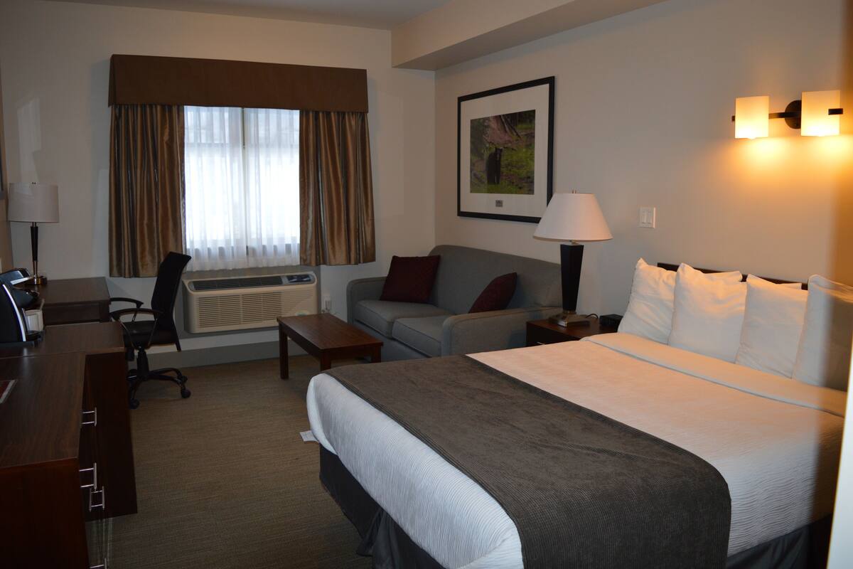 standard room, 1 queen bed with sofa bed (pet friendly) | desk, blackout curtains, iron/ironing board, free cots/infant beds