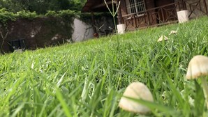 Photo non classée, 4 sur 57, bouton